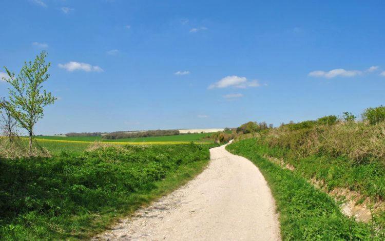 The Run, West Lavant Chichester Dış mekan fotoğraf